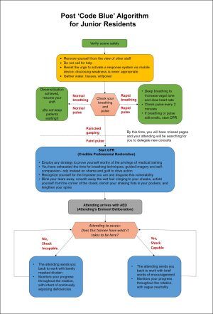 鬱P　ALGORITHM Post 'Code Blue' Algorithm for Junior Residents - Pulse