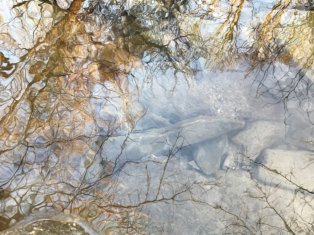 Otherworldly IMG 0273